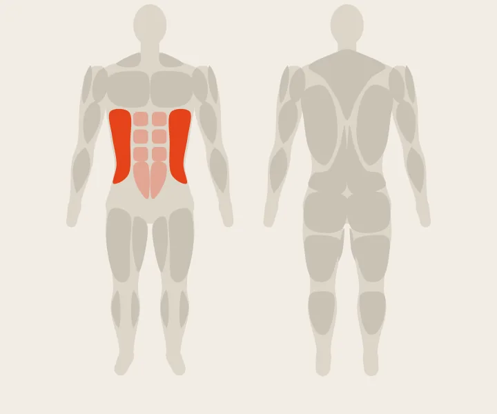 Muskelkarte: seitlicher Bauch