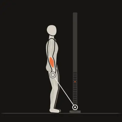 Animation: Standing Cable Wrist Curl