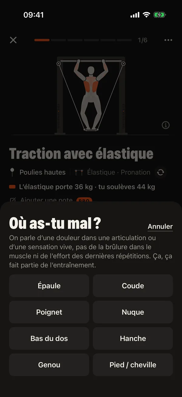 Entraîne-toi en ménageant ce qui fait mal: DCFT