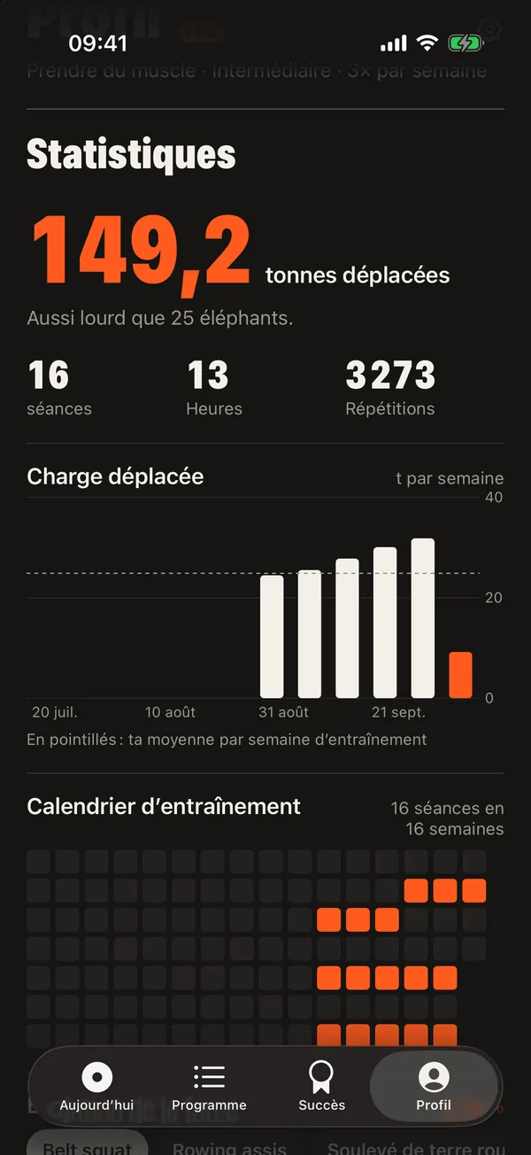 Vois ce que ton entraînement représente vraiment: DCFT